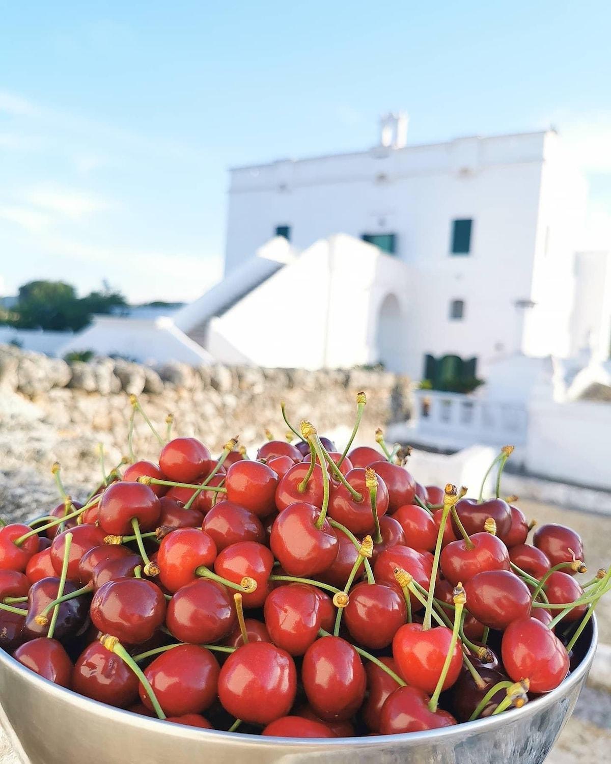 モノーポリ Masseria Mammellaアパートホテル エクステリア 写真